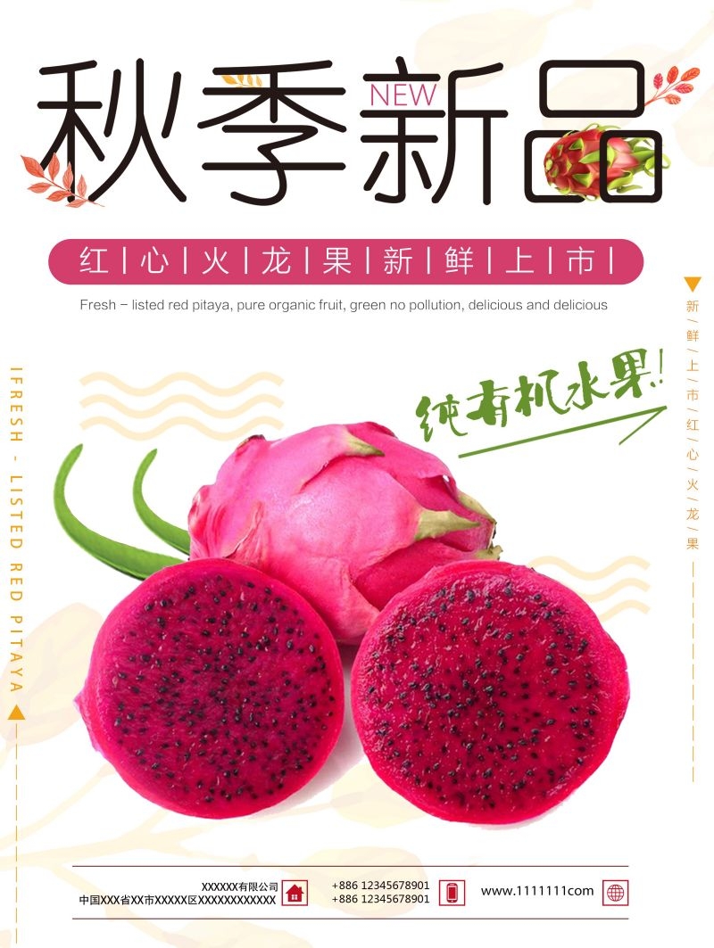 新鲜火龙果海报展板背景促销宣传素材 (7)