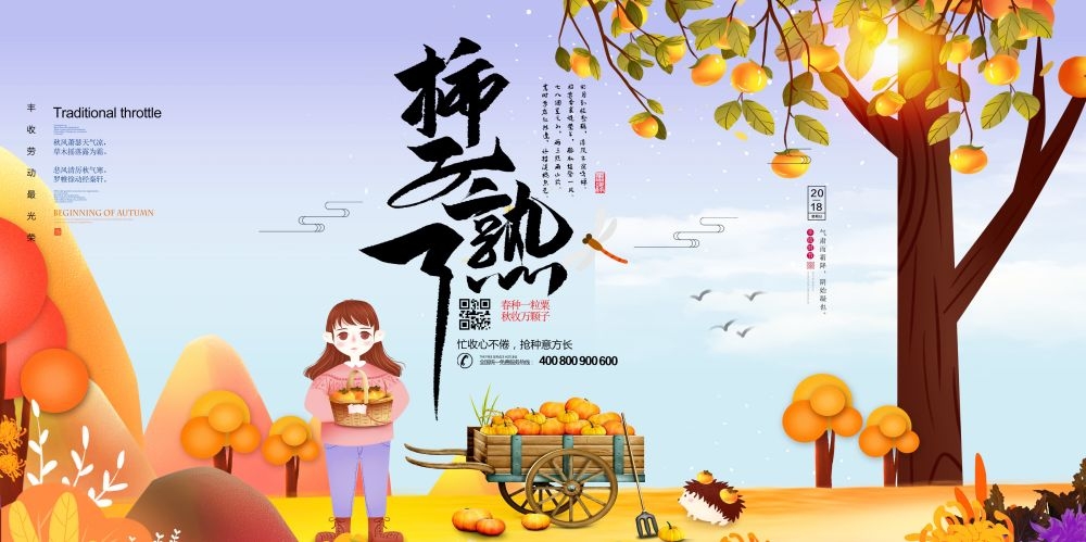 柿子熟了新鲜果蔬水果促销海报展板 (27)