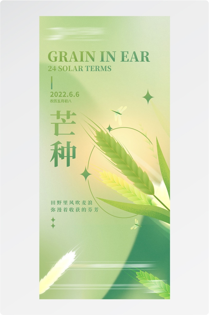 二十四24节气小麦芒种海报宣传插画 (21)