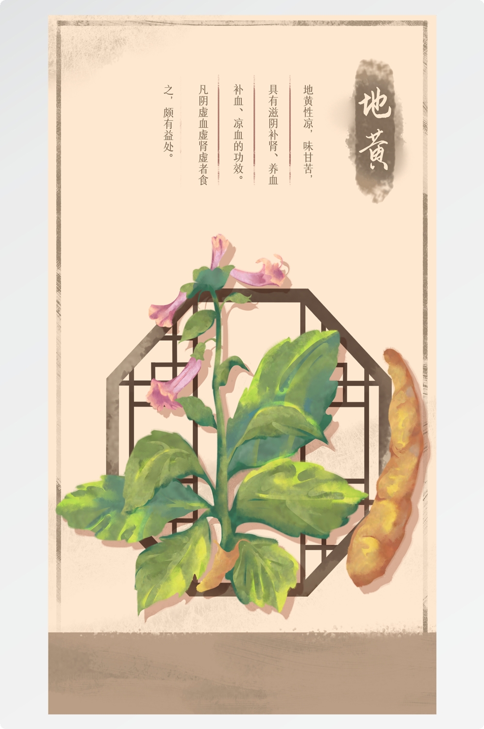 中国传统中医挂画中草药图集插画素材地黄4