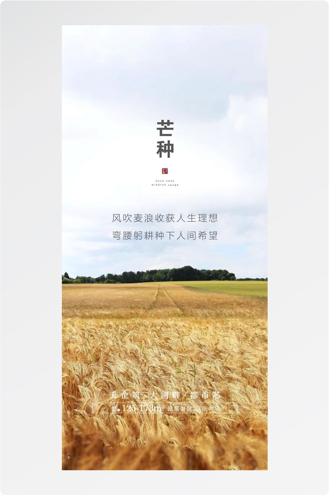 二十四24节气芒种小麦风景海报 (1)