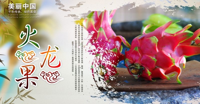 新鲜火龙果海报展板背景促销宣传素材 (4)