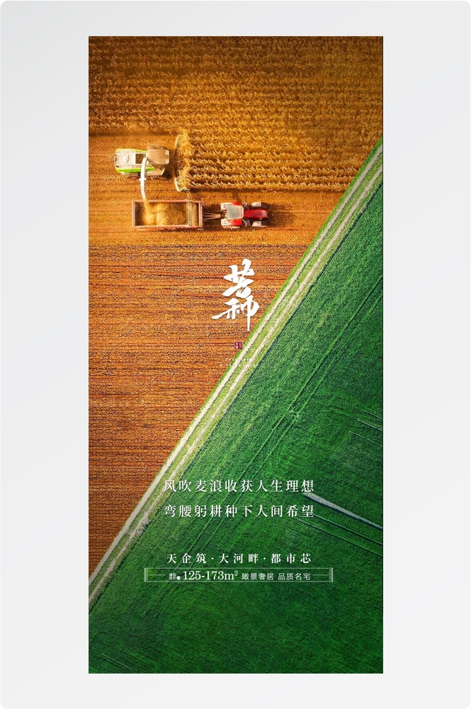 二十四24节气芒种小麦风景海报 (23)