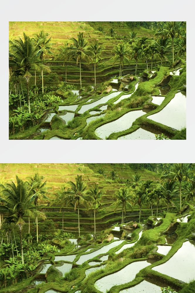 梯田农田田野高清图片25