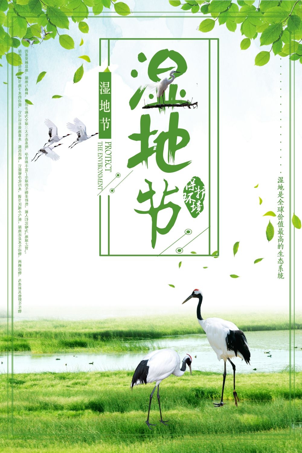 湿地日保护湿地环保促销宣传单广告设计素材