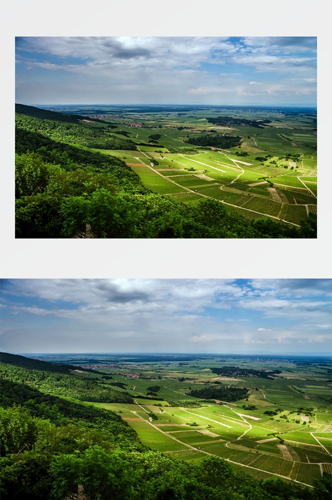 农田耕田田野高清图片53