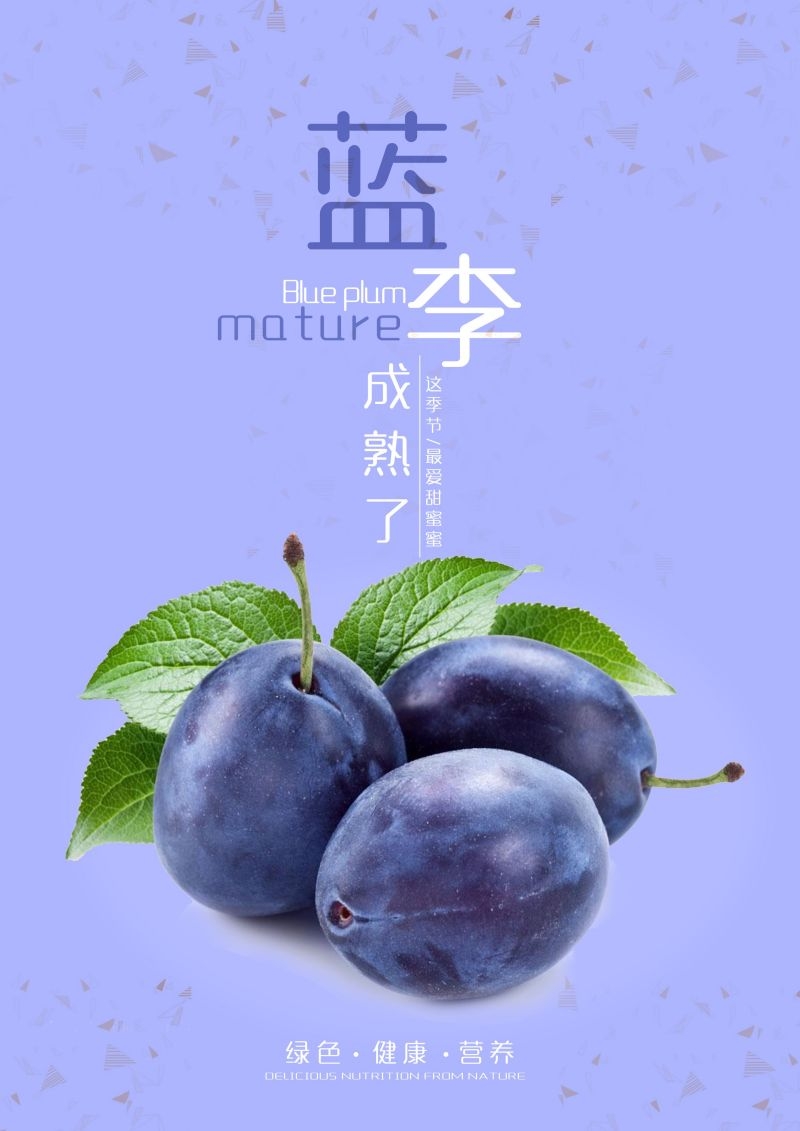 新鲜李子海报展板背景促销宣传素材 (3)