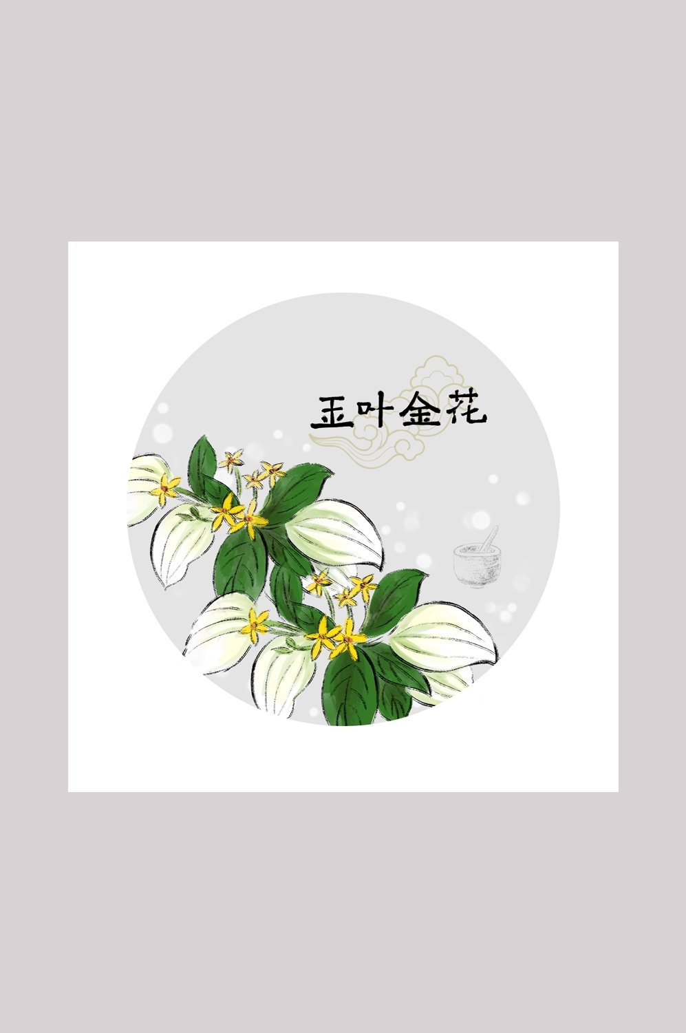中国传统中医挂画中草药图集插画海报展板玉叶金花23