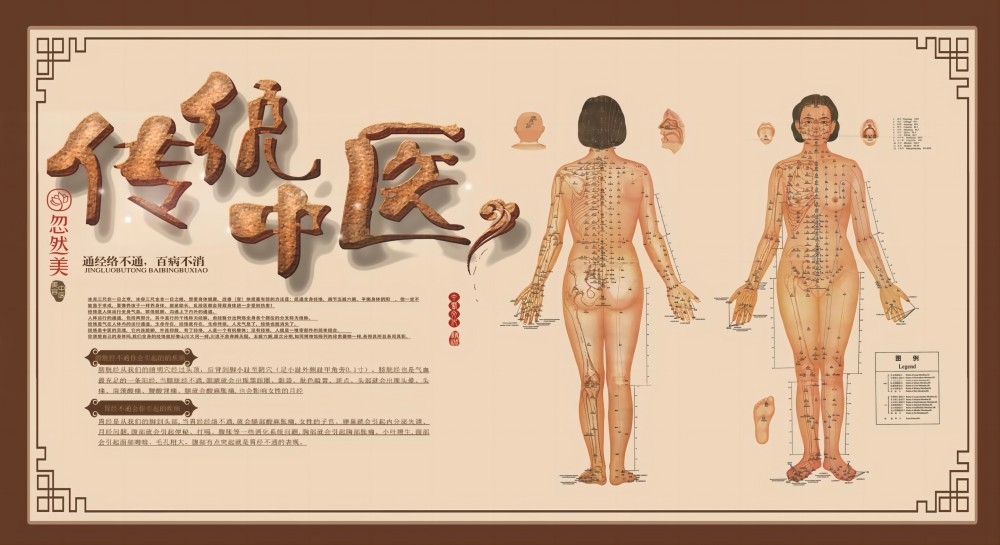 传统中医海报挂画展板文化墙素材 (16)