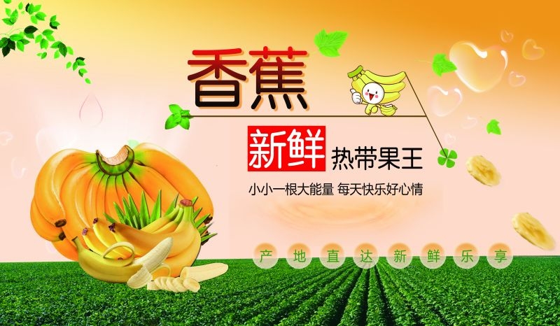 新鲜香蕉海报展板背景促销宣传素材 (27)