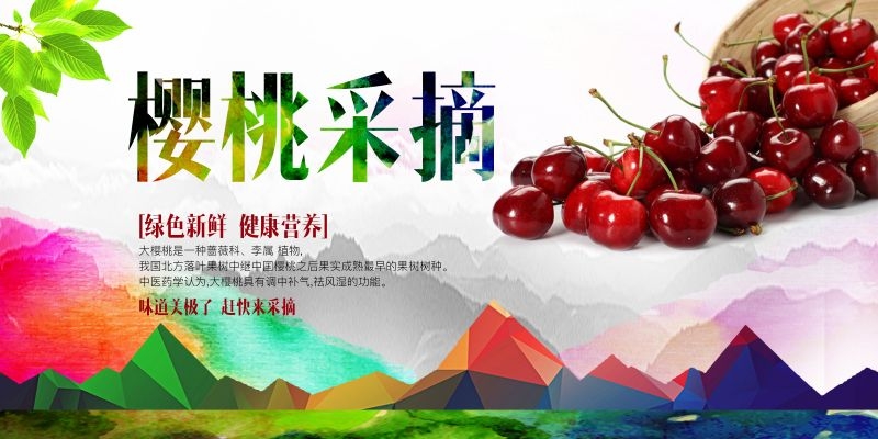 新鲜的樱桃促销宣传单海报展板背景广告设计素材 (15)