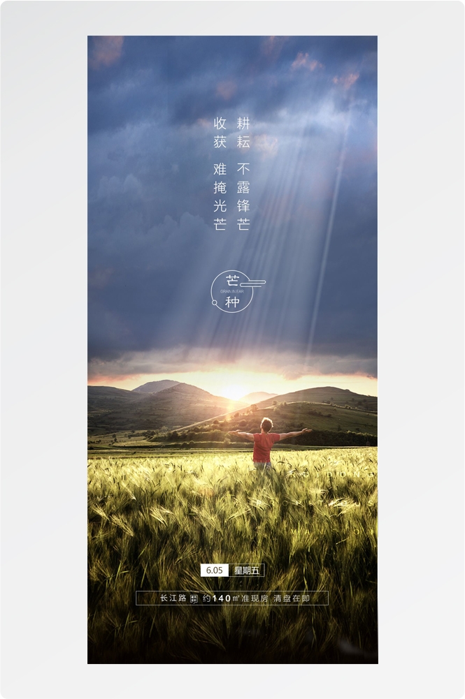 二十四24节气芒种小麦风景海报 (36)