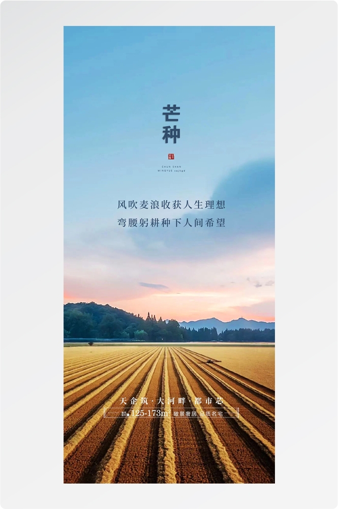 二十四24节气芒种小麦风景海报 (9)
