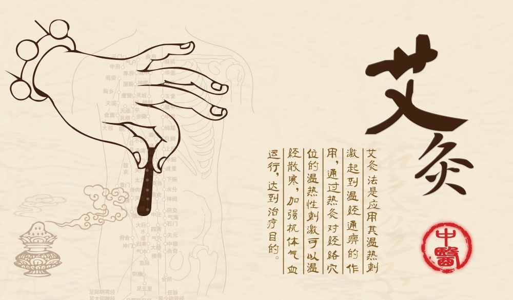 传统中医海报挂画展板文化墙素材 (57)