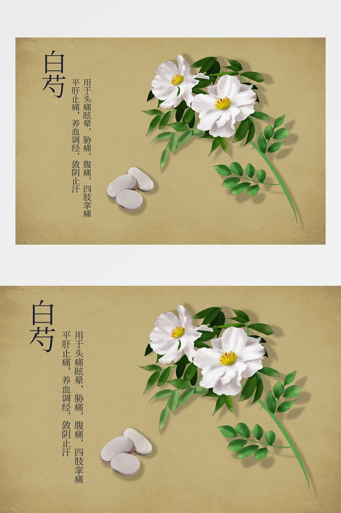 中国传统中医挂画中草药图集插画海报展板 (2)