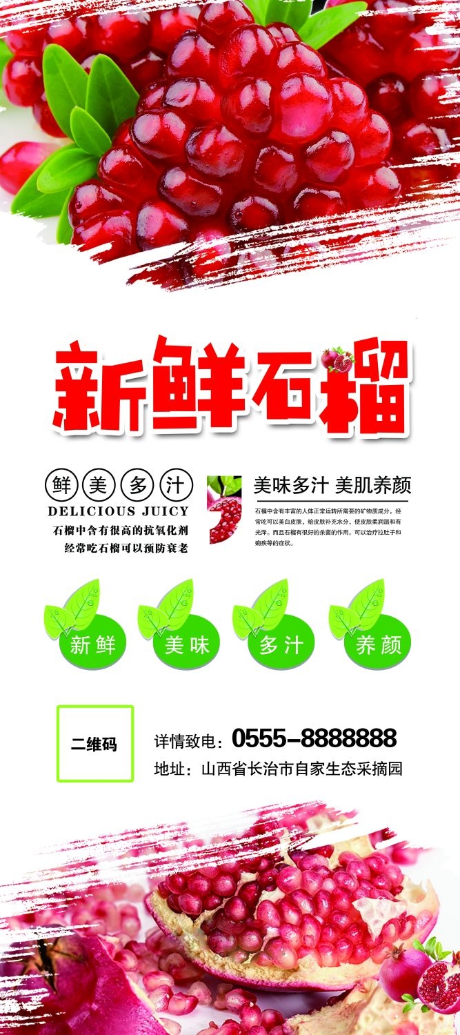 水果蔬菜饮料海报展架易拉宝设计素材 (37)