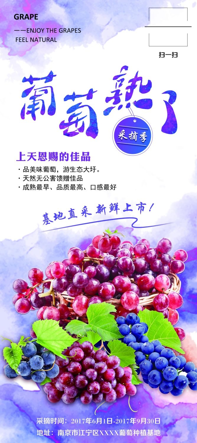 水果蔬菜饮料海报展架易拉宝设计素材 (41)