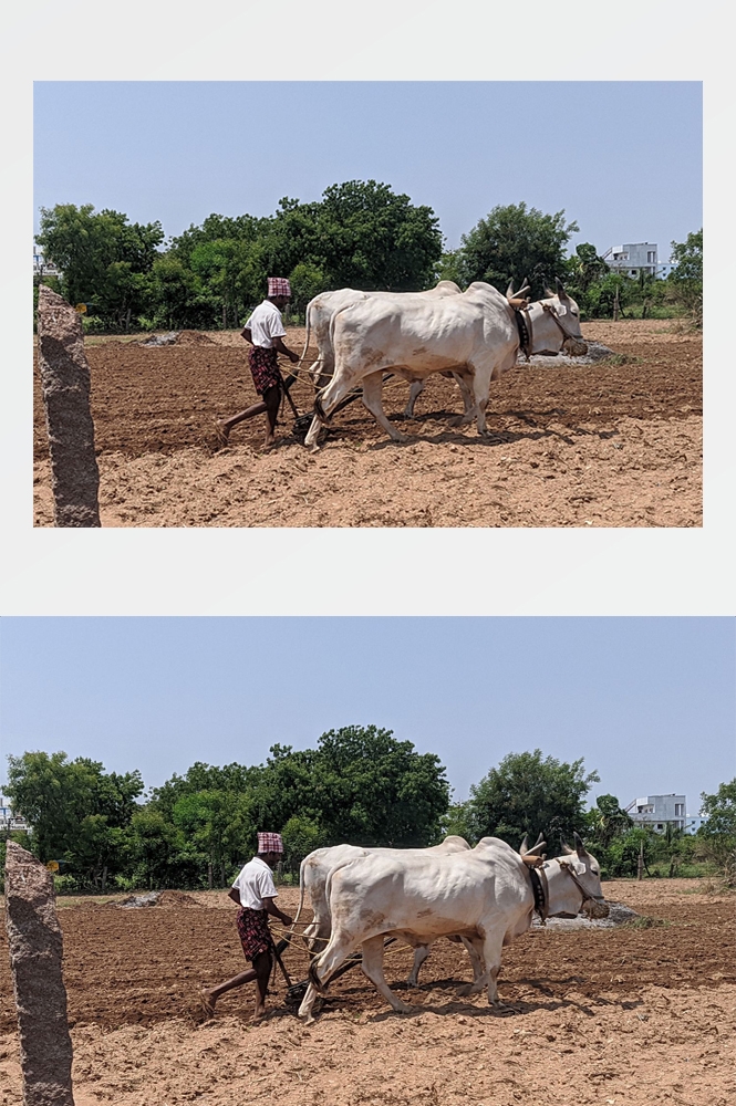 农业生产插秧收割农活高清图片 (69)