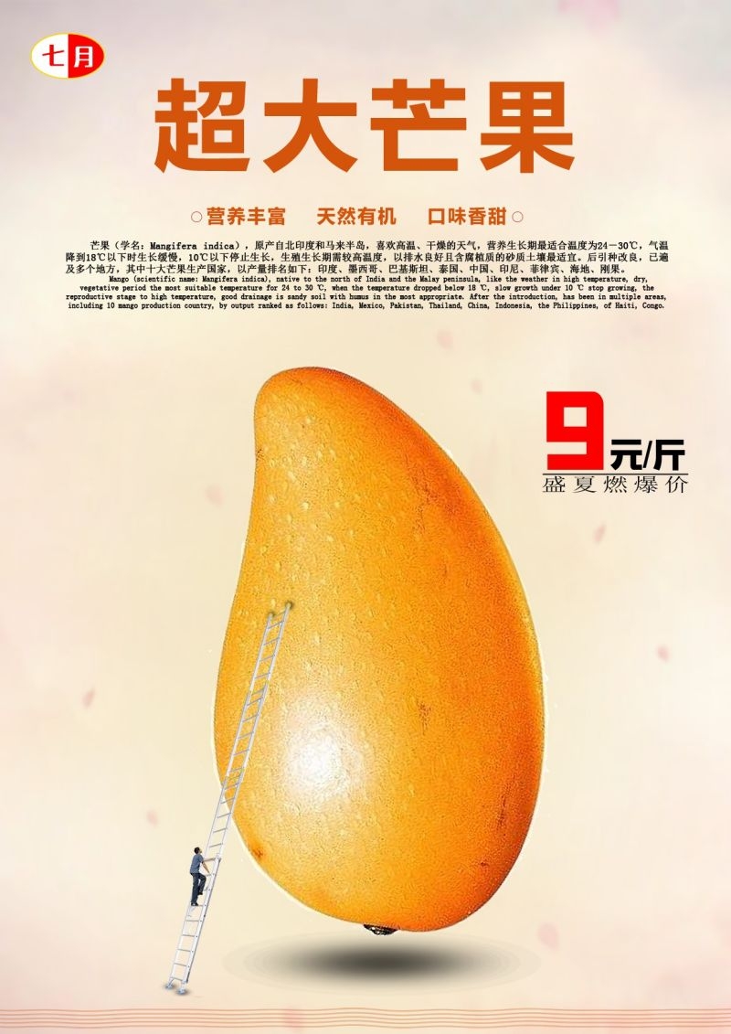 餐饮美食海报背景芒果芒果汁促销宣传单广告设计素材 (15)
