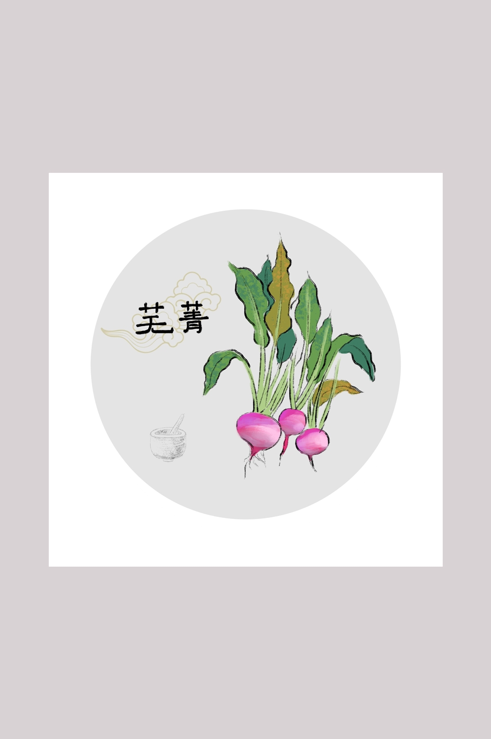 中国传统中医挂画中草药图集插画海报展板芜菁29