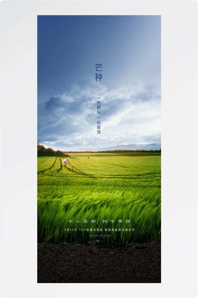 二十四24节气芒种小麦风景海报 (31)