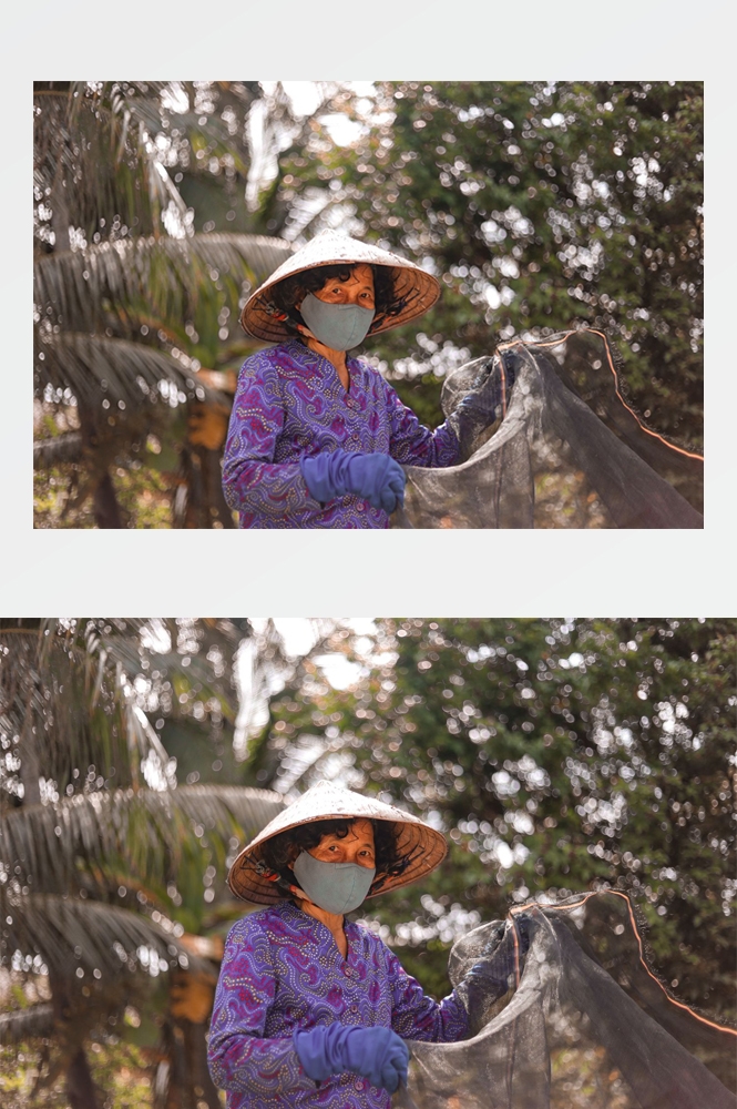 农业生产插秧收割农活高清图片 (63)