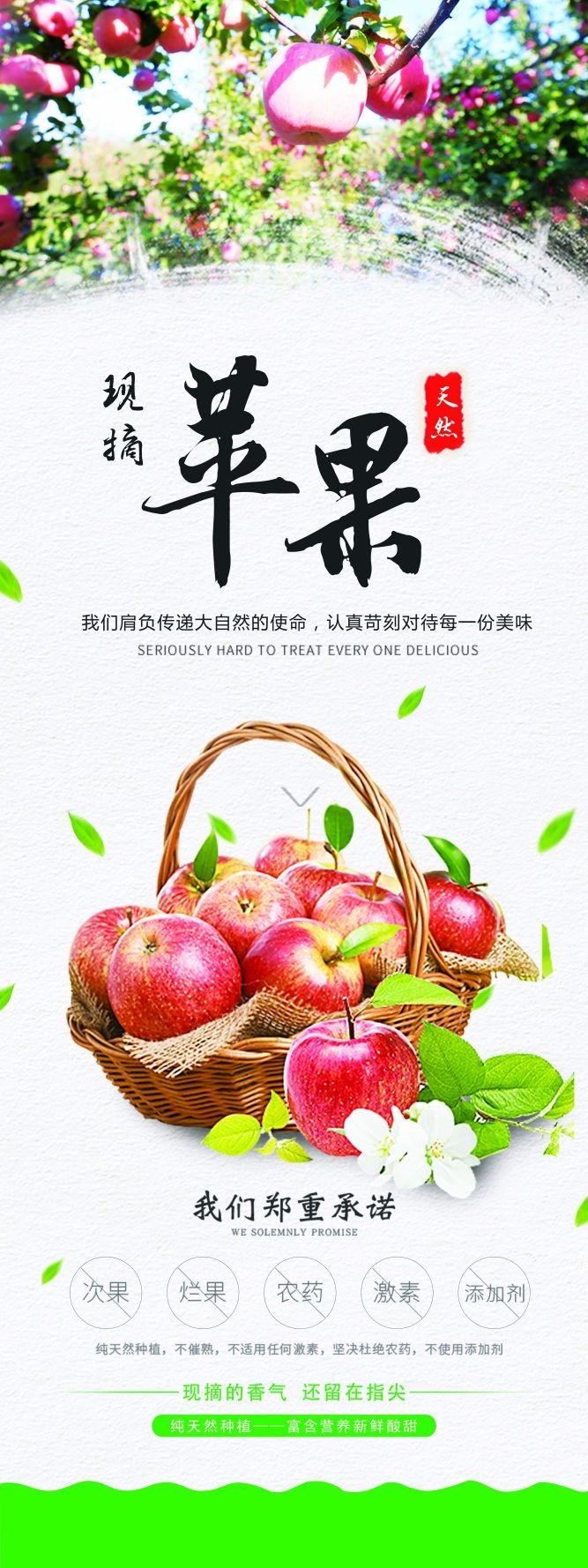 水果蔬菜饮料海报展架易拉宝设计素材 (45)