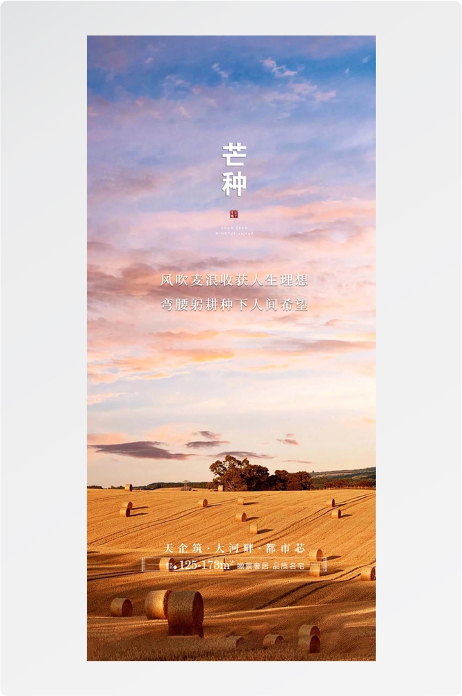 二十四24节气芒种小麦风景海报 (10)