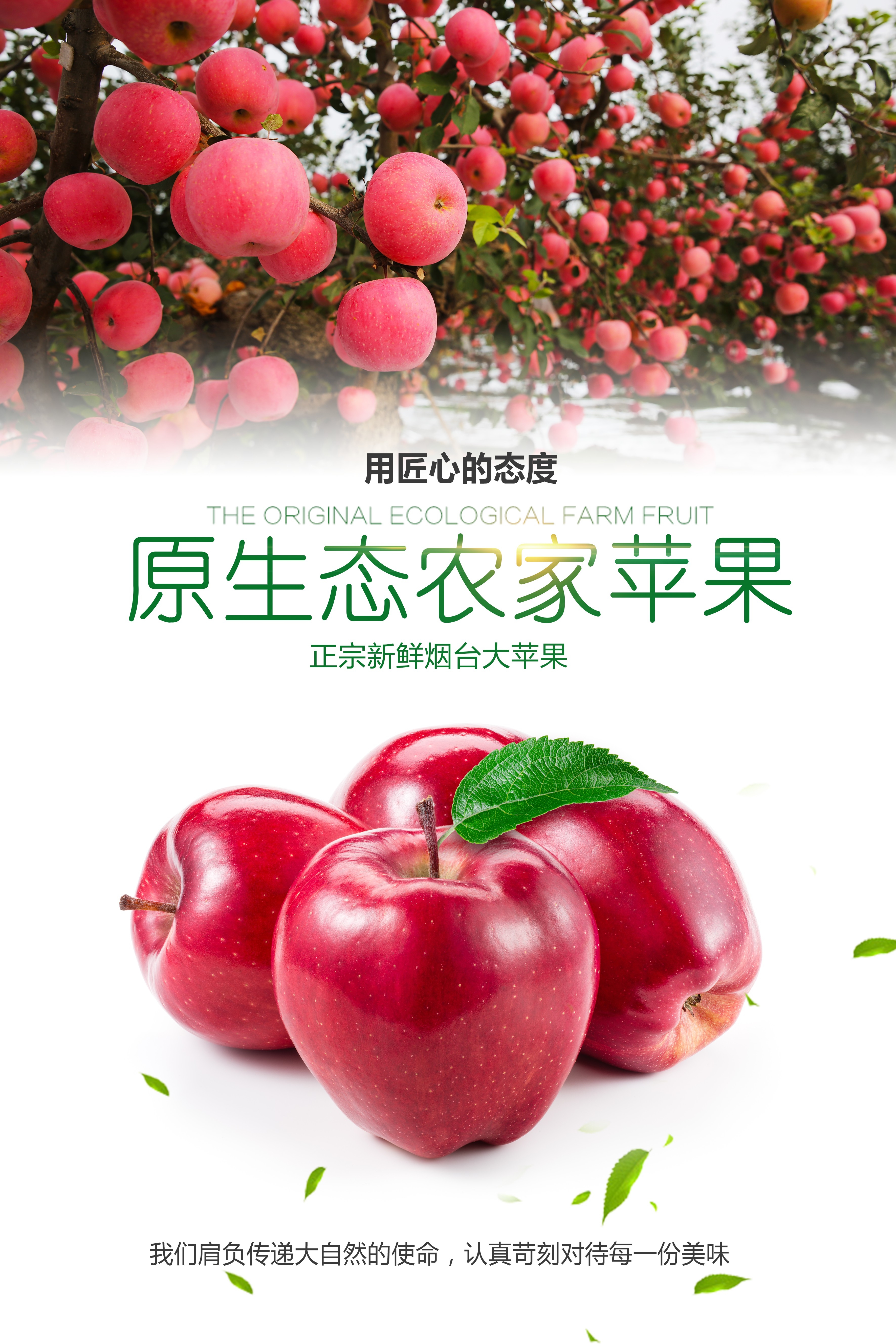 海报背景新鲜的苹果水果促销宣传单广告设计素材 (37)