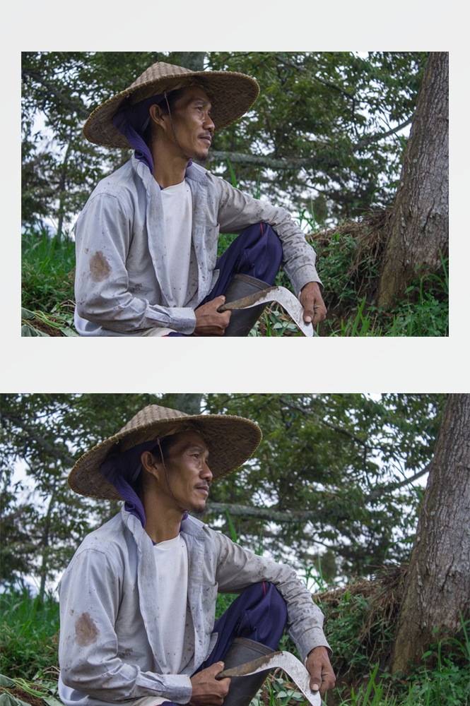 农业生产插秧收割农活高清图片 (237)