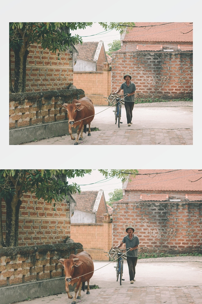 农业生产插秧收割农活高清图片 (217)