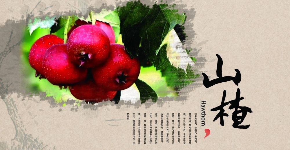 山楂新鲜果蔬水果促销海报展板 (4)