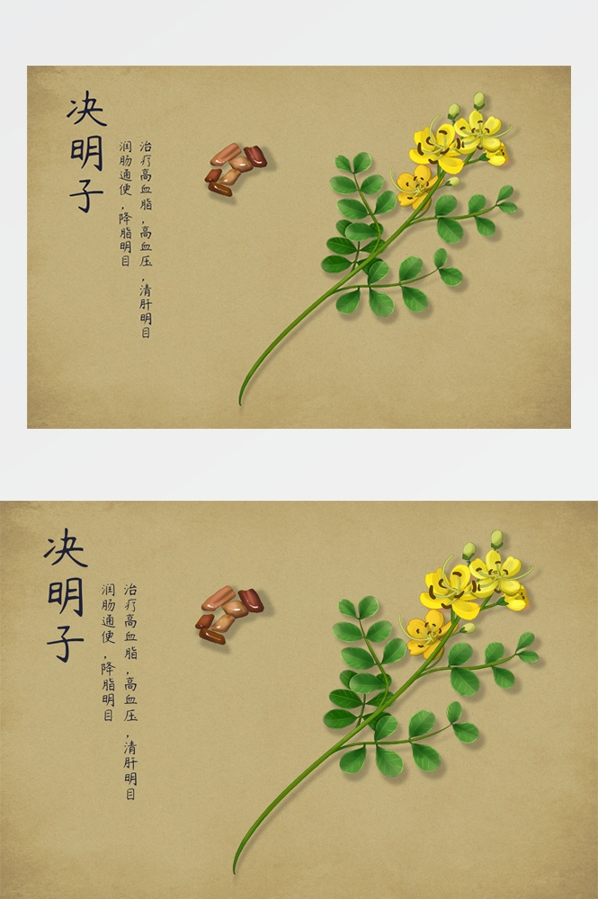中国传统中医挂画中草药图集插画海报展板 (19)