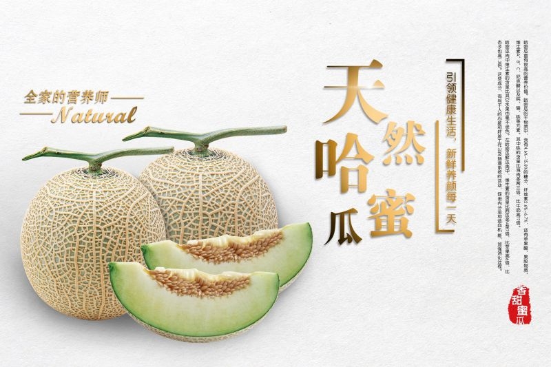 新鲜哈密瓜海报展板背景促销宣传素材 (10)