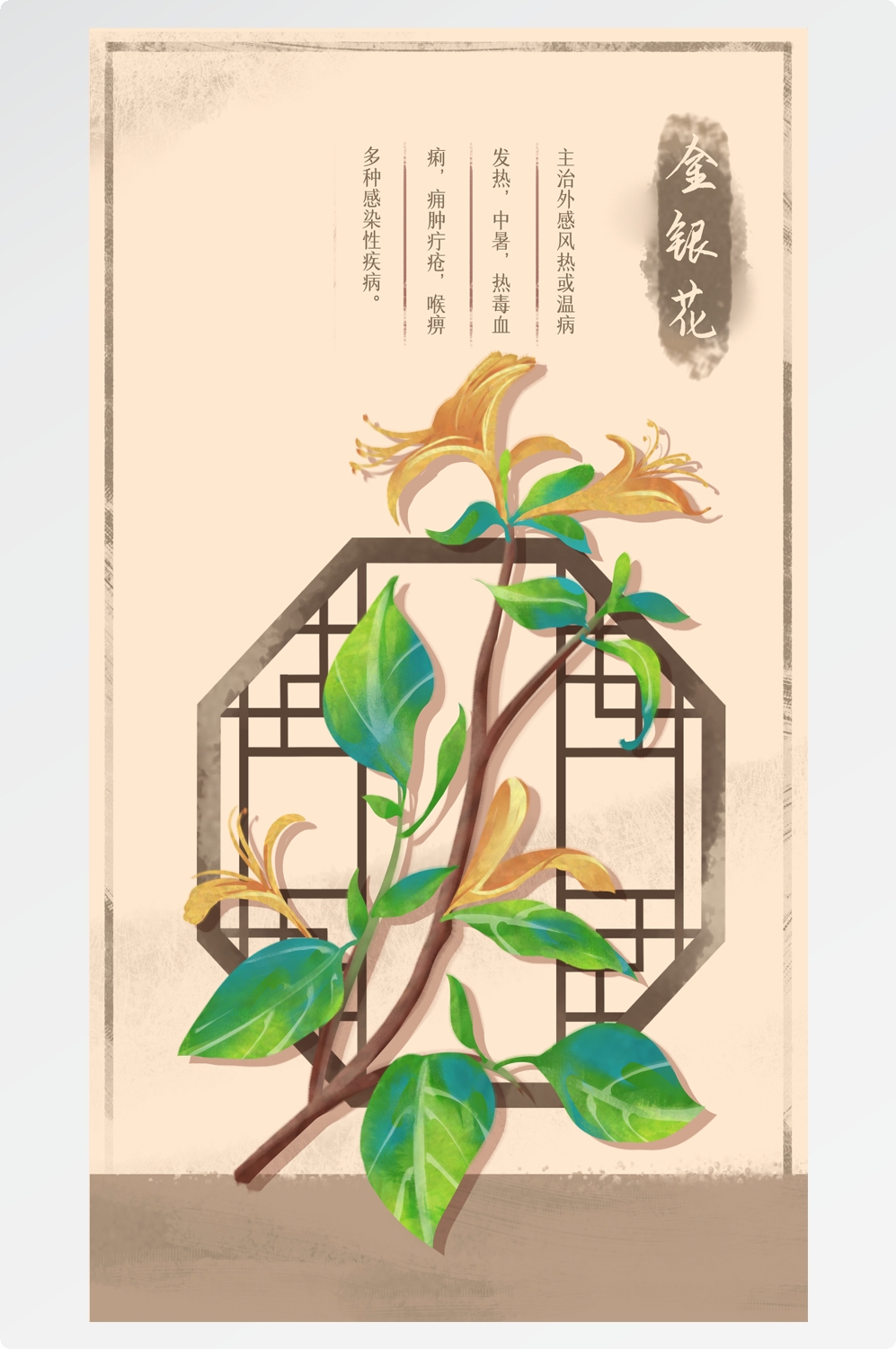 中国传统中医挂画中草药图集插画素材金银花10