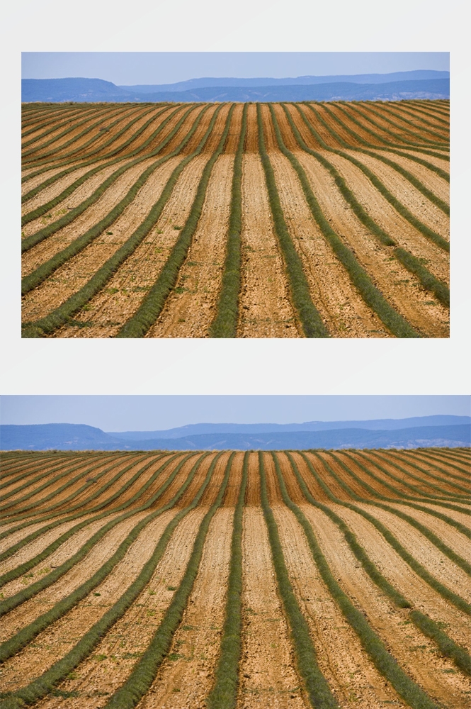 农田耕田田野高清图片54