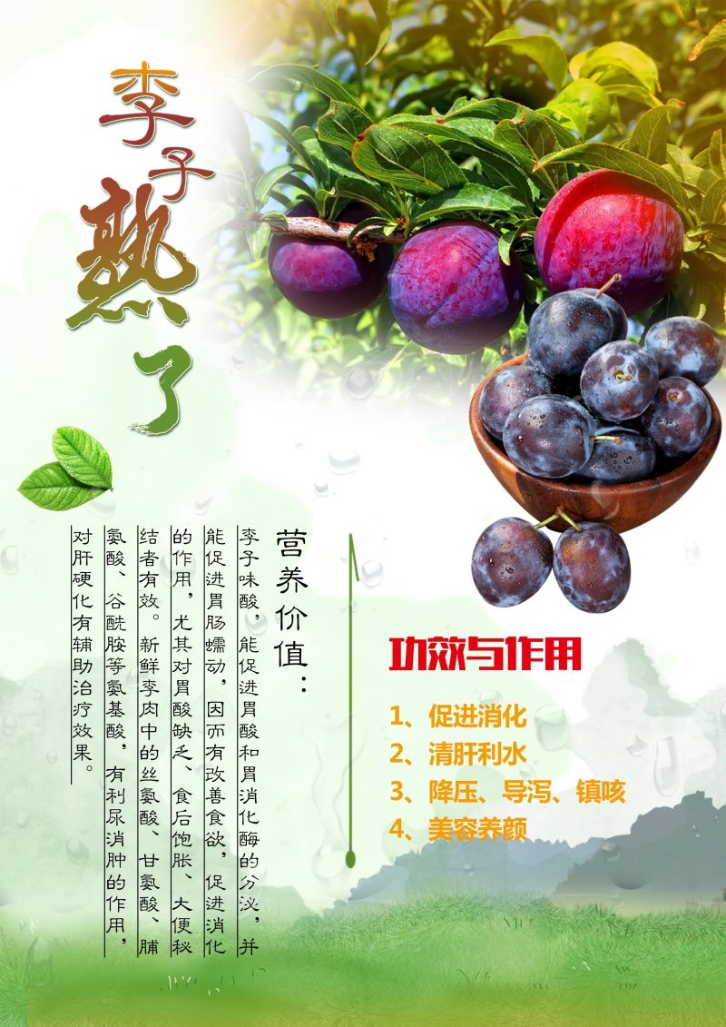 新鲜李子海报展板背景促销宣传素材 (8)