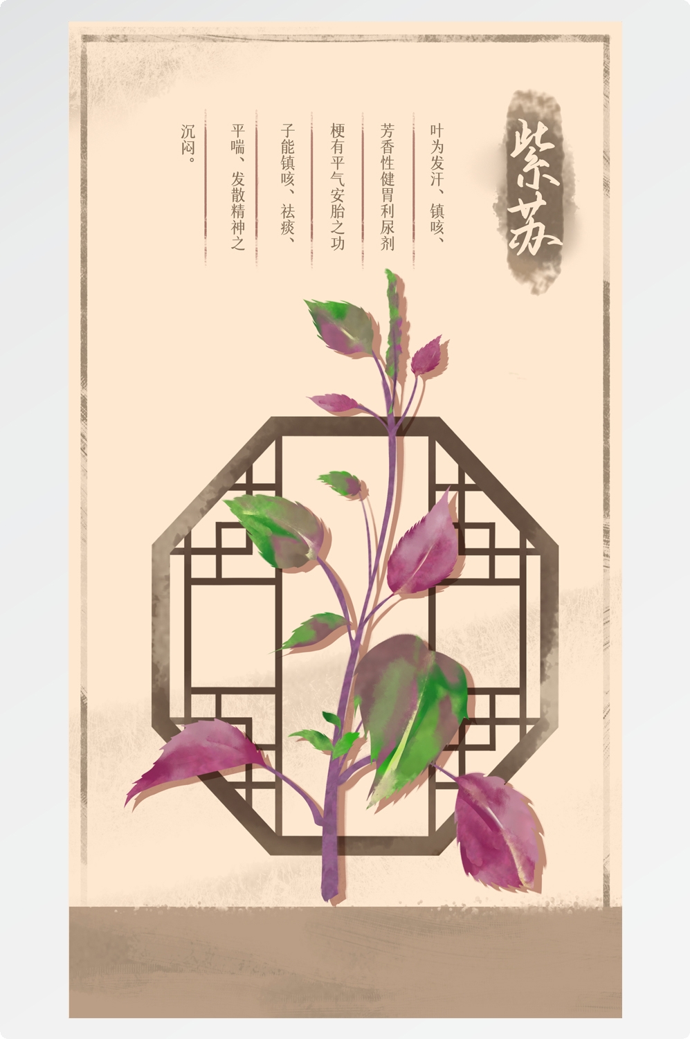 中国传统中医挂画中草药图集插画素材紫苏8