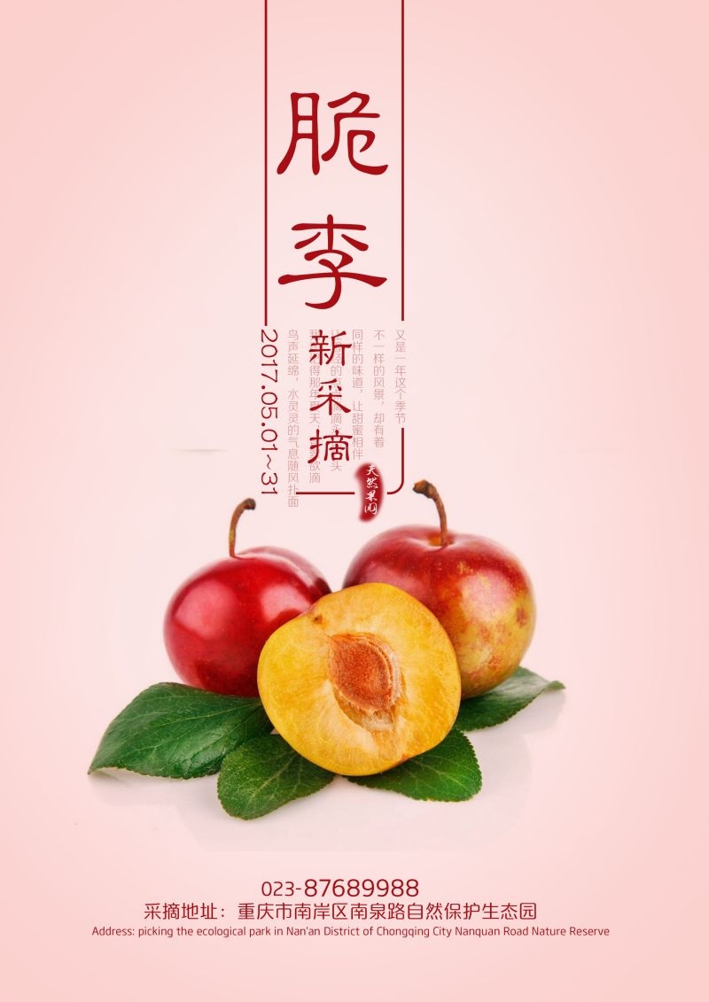 新鲜李子海报展板背景促销宣传素材 (7)