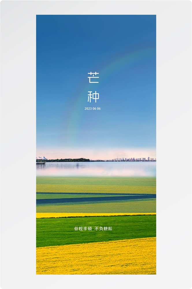 二十四24节气芒种小麦风景海报 (13)
