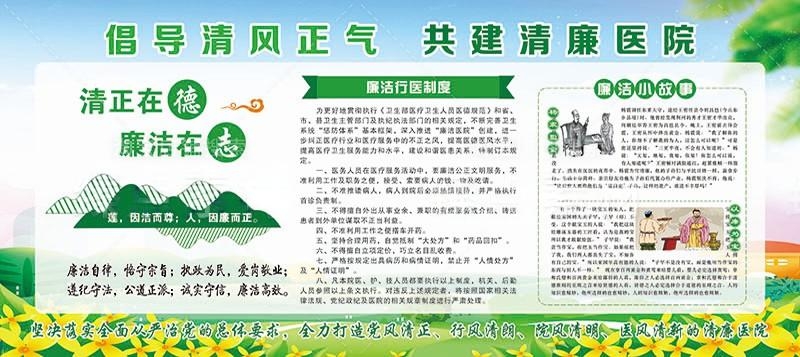 清廉廉洁文化进医院宣传展板廉洁行医九项准则 (14)