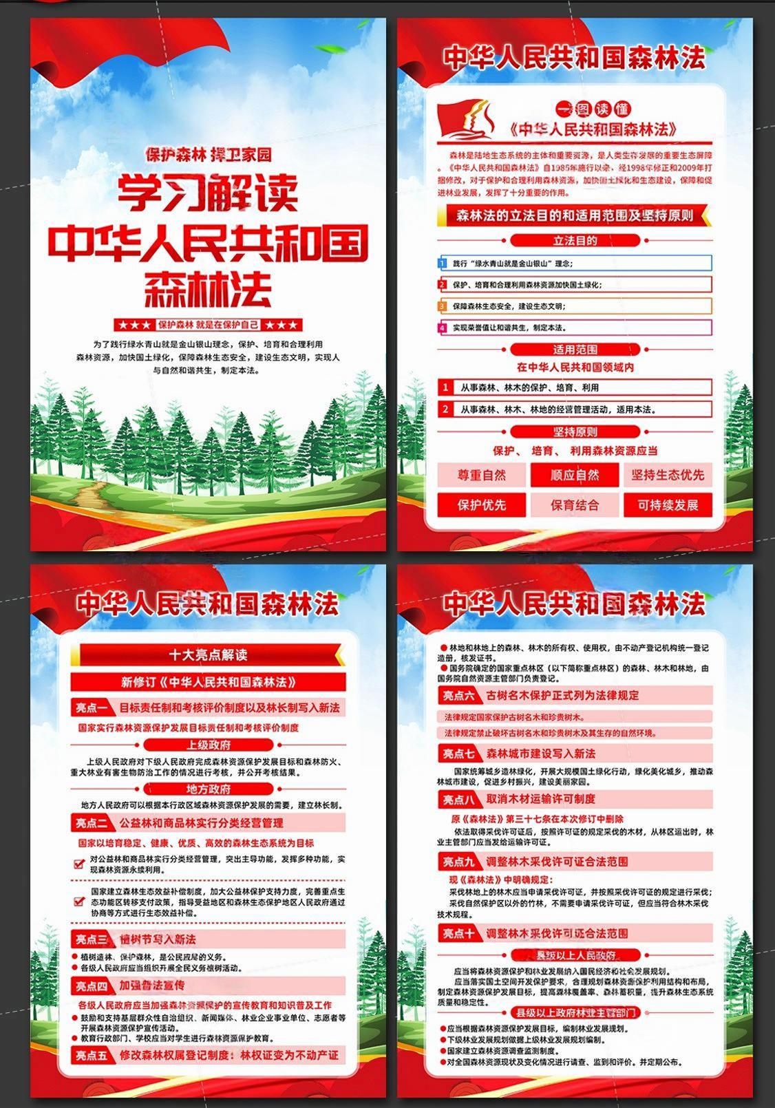 中华人民共和国森林法海报挂画 (1)
