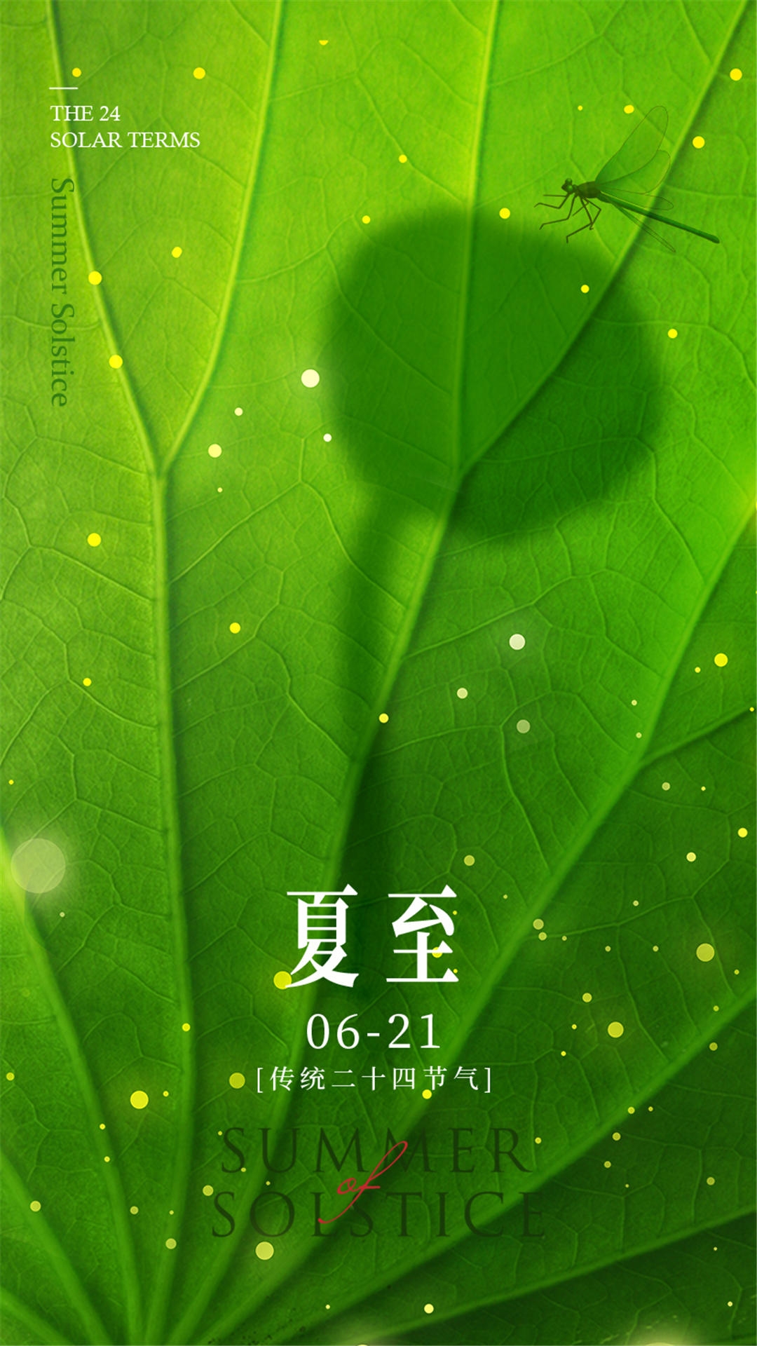 横版夏至海报 (62)