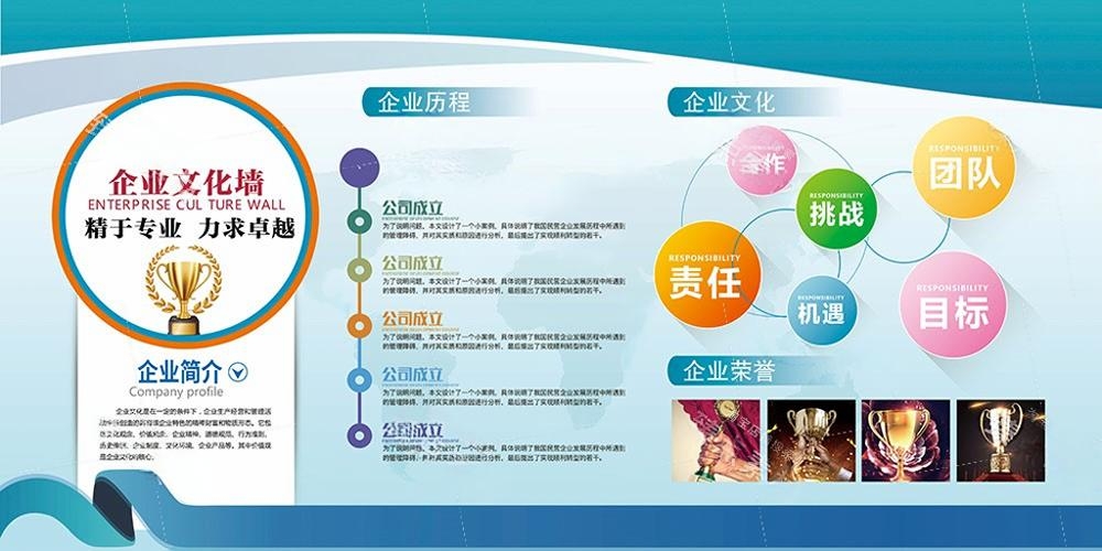 企业公司简介文化发展历程展板 (1)