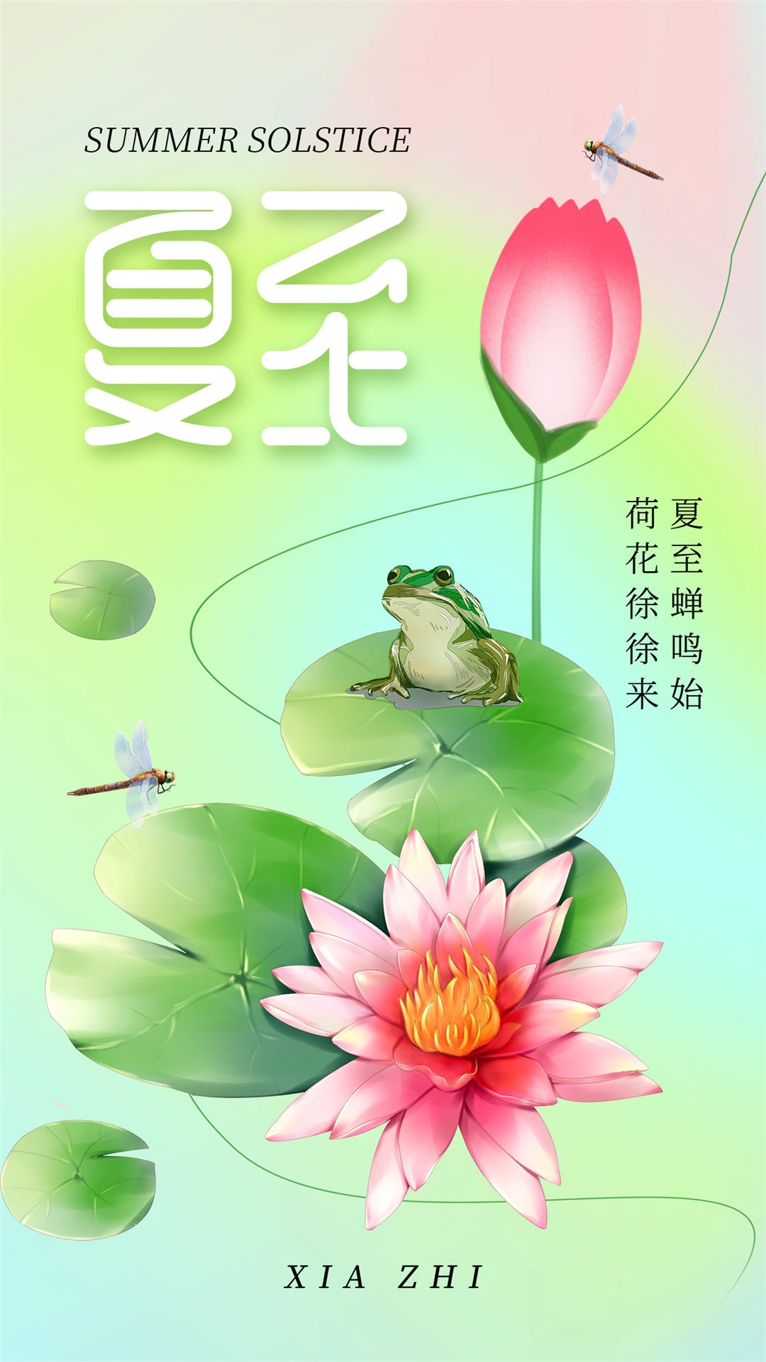 横版夏至海报 (88)