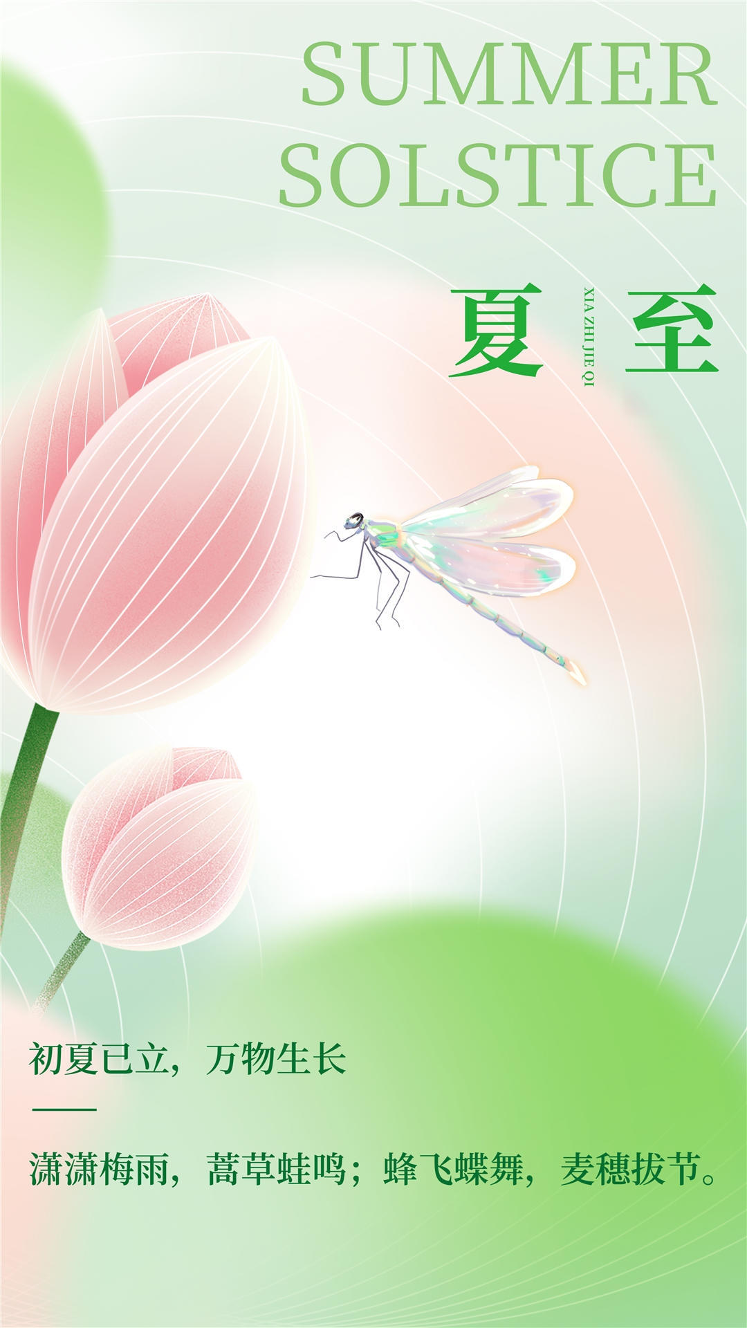 横版夏至海报 (47)