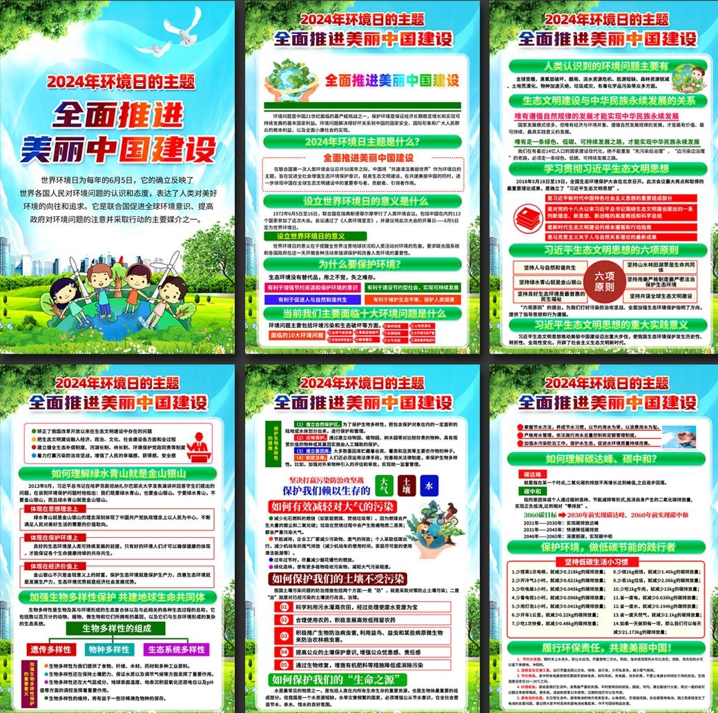 2024年世界环境日展板六五环境日海报挂画 (1)