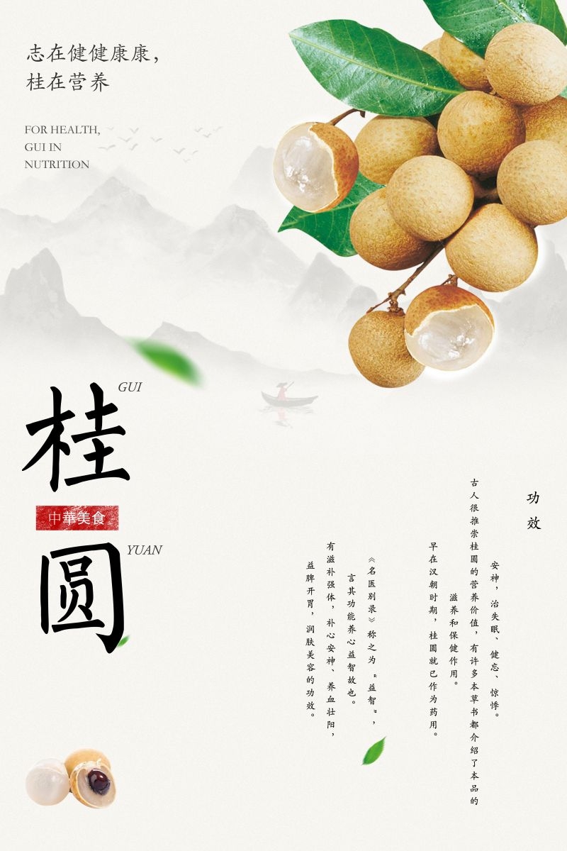 桂圆龙眼水果促销宣传单广告设计素材