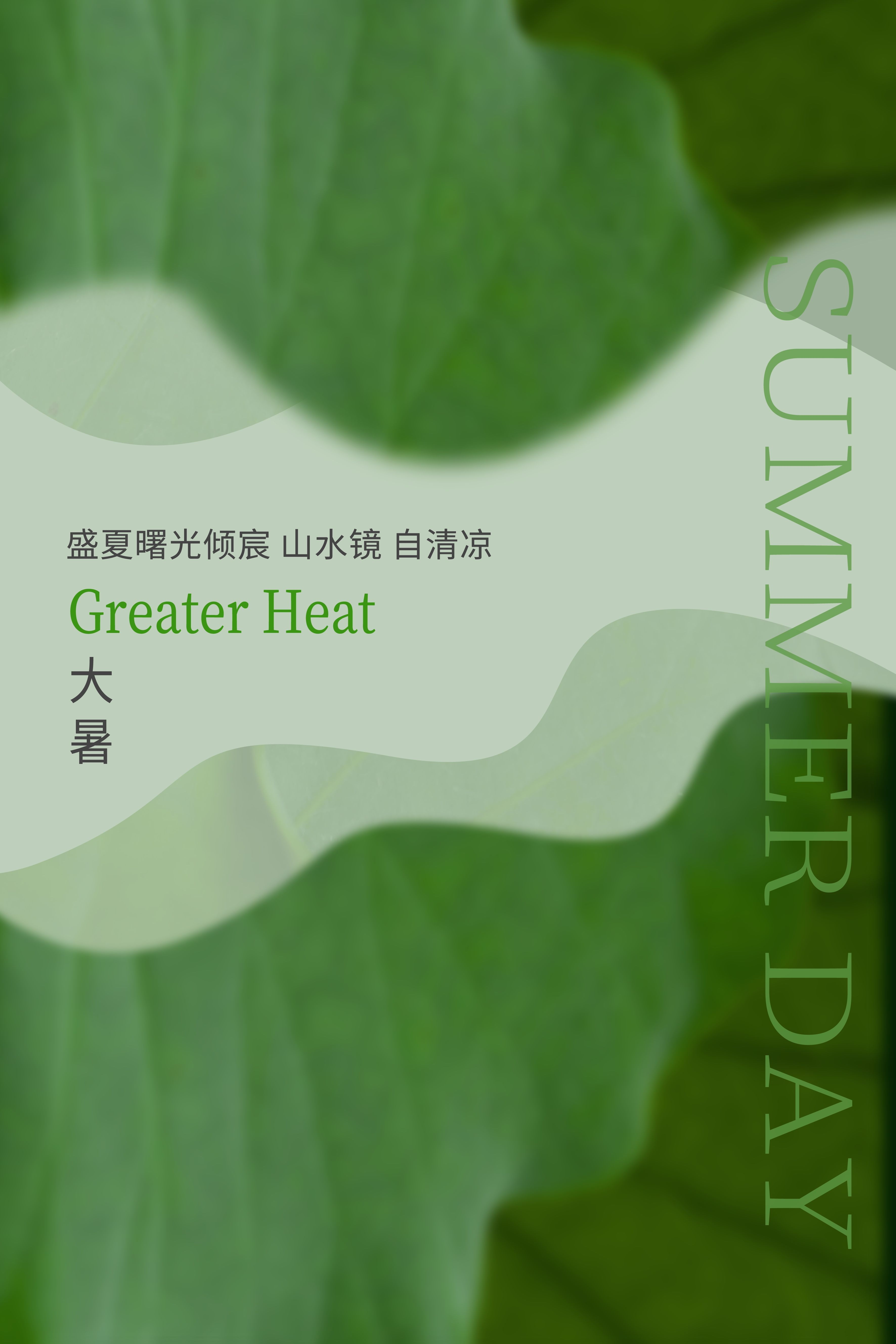 24节气二十四大暑节气夏日简约传统活动宣传海报素材PSD设计76