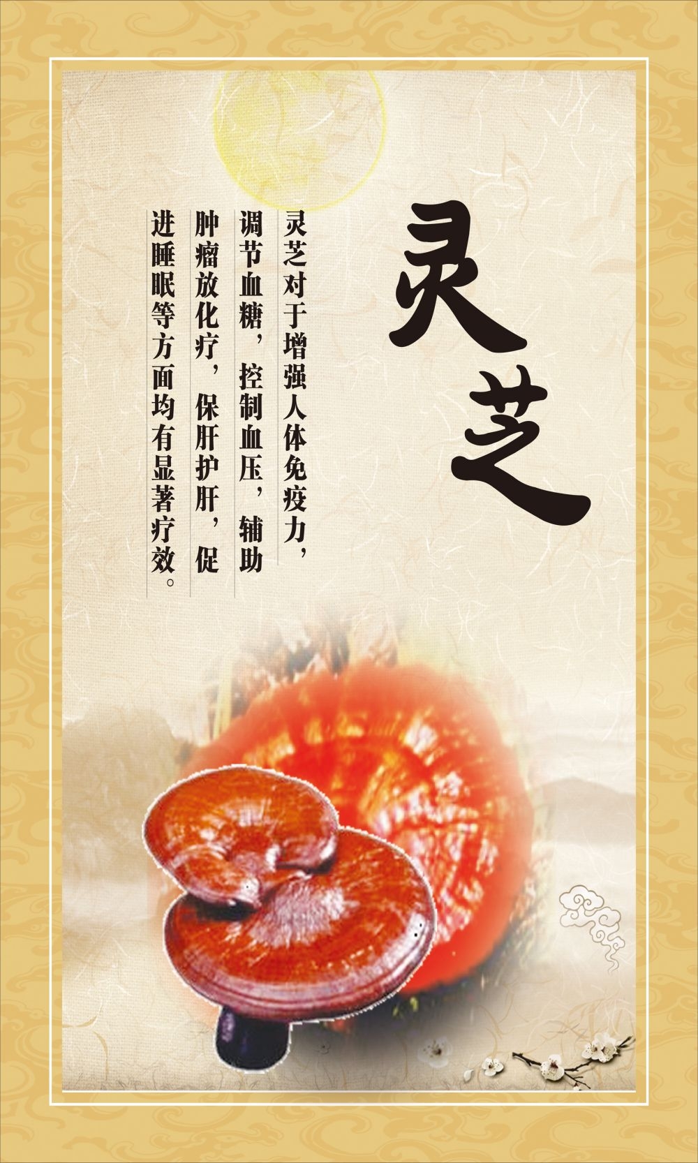 中药养生保健针灸理疗医院药房中医文化宣传挂画海报展板素材